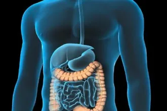 5-coisas-que-seu-medico-gostaria-que-voce-soubesse-sobre-cancer-colorretal-–-uol