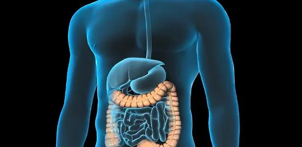 5-coisas-que-seu-medico-gostaria-que-voce-soubesse-sobre-cancer-colorretal-–-uol