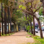 projeto-propoe-pagamento-de-50%-do-aluguel-para-atrair-moradores-ao-centro-de-goiania;-entenda