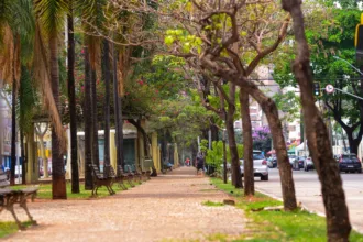 projeto-propoe-pagamento-de-50%-do-aluguel-para-atrair-moradores-ao-centro-de-goiania;-entenda