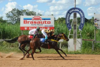hipodromo-da-lagoinha-preve-novas-corridas-apos-retomada-com-apostas-em-goiania