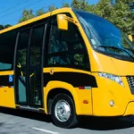 pais-poderao-monitorar-transporte-escolar-dos-filhos-por-video-e-gps-em-goias;-veja-os-detalhes