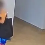 funcionaria-se-distrai-e-tem-celular-furtado-no-procon-de-jatai;-video