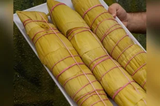 comerciante-cria-pamonha-de-1kg-em-goiania:-veja-de-quanto-milho-precisa-e-o-preco