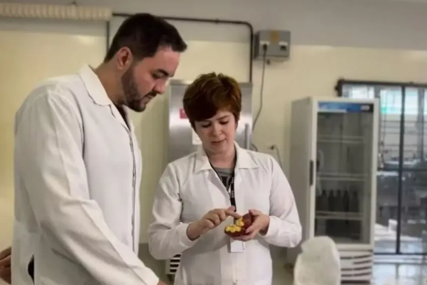 engenheiro-quimico-de-goiania-diz-ter-criado-chocolate-com-zero-gordura-e-conservantes