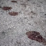 mulher-morre-atropelada-por-caminhao-que-prestava-servico-para-a-sabesp