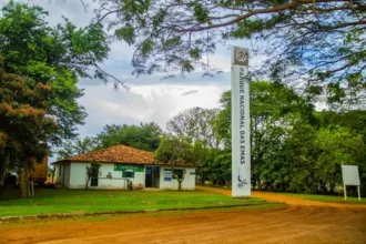 professora-de-biologia-desaparece-no-parque-das-emas;-drones-termicos-e-caes-reforcam-buscas