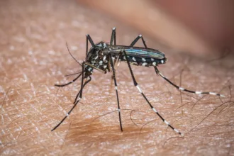 chikungunya:-ministro-classifica-como-critica-situacao-em-dourados