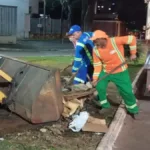 projeto-preve-recompensa-por-denuncia-de-lixo-irregular-em-goiania;-valor-chega-a-r$-8,1-mil