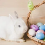 entenda-origem-do-coelho-da-pascoa-e-diferentes-significados