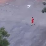 bombeiro-mata-cachorro-apos-suposto-ataque-no-estadio-serra-dourada,-em-goiania