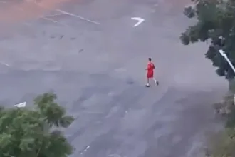 bombeiro-mata-cachorro-apos-suposto-ataque-no-estadio-serra-dourada,-em-goiania