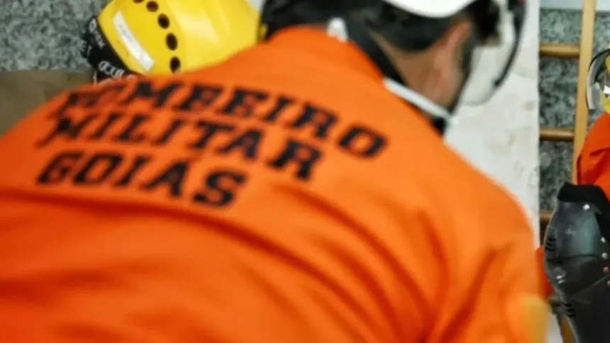 bombeiro-que-atirou-em-cachorro-diz-que-tentou-assustar-animal-em-goiania