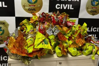 motorista-que-fugiu-com-ovos-de-pascoa-destinados-a-criancas-e-preso-em-aparecida