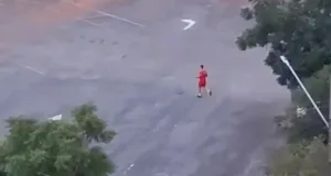 cachorro-morto-a-tiros-no-serra-dourada:-veja-se-bombeiros-podem-andar-armados