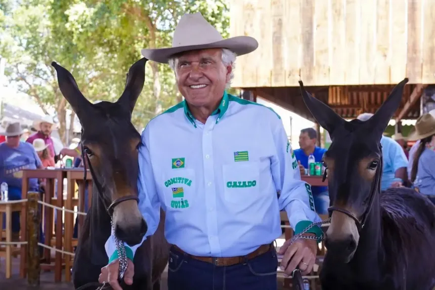 candidatura-de-caiado-atrai-o-agro-e-esfria-adesao-a-flavio-bolsonaro