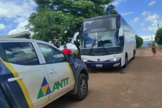 fiscalizacao-contra-transporte-clandestino-apreende-42-veiculos-ilegais-em-goias