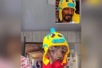 goiana-viraliza-apos-snoop-dogg-repostar-look-de-pinscher-inspirado-no-rapper