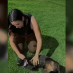 estudante-de-veterinaria-surda-cria-coleiras-refletivas-para-caes-e-gatos-de-rua-em-rio-verde