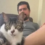 pirulla-reaparece-nas-redes-sociais-11-meses-apos-avc