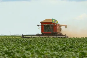 goias-concentra-15%-das-recuperacoes-judiciais-do-agro-e-acende-alerta-no-setor