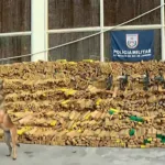 quase-50-toneladas-de-maconha-sao-encontradas-em-operacao-da-pm-na-mare-com-auxilio-de-caes-farejadores-–-o-globo