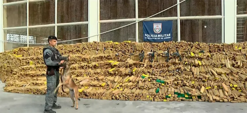 quase-50-toneladas-de-maconha-sao-encontradas-em-operacao-da-pm-na-mare-com-auxilio-de-caes-farejadores-–-o-globo