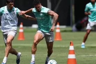 palmeiras-segue-sem-ataque-dos-sonhos-em-estreia-na-copa-libertadores-–-uol
