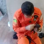 socorristas-usam-tecnica-de-“pesca”-para-icar-filhote-de-cachorro-de-fossa-em-cidade-ocidental