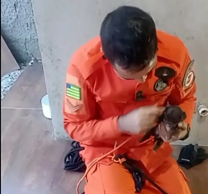 socorristas-usam-tecnica-de-“pesca”-para-icar-filhote-de-cachorro-de-fossa-em-cidade-ocidental