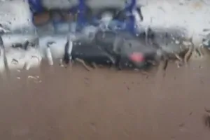 chuva-deixa-carros-ilhados-em-alagamento-na-perimetral-norte,-em-goiania