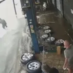 “poderia-ter-sido-levado”,-diz-pianista-salvo-de-enxurrada-no-crimeia-leste,-em-goiania