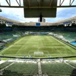nubank-compra-naming-rights-do-estadio-do-palmeiras-em-acordo-milionario