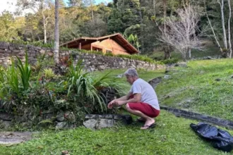 aos-63-anos,-ator-de-avenida-brasil-vive-em-casa-isolada-sem-vizinhos-e-cultiva-horta-organica-–-nsc-total