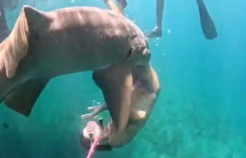 noronha:-imagens-mostram-mordida-de-tubarao-em-turista-por-novo-angulo.-veja-o-video