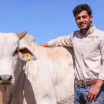 ‘esta-doendo-muito’:-agropecuarista-de-31-anos-e-sepultado-em-goiania