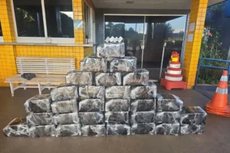 caminhoneiro-fica-nervoso-ao-ser-abordado-em-jatai-e-admite:-‘tem-coisa-errada,-sim’