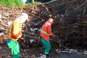 plasticos,-pneus-e-moveis:-mais-de-25-toneladas-de-lixo-sao-retiradas-do-corrego-taquaral,-em-goiania