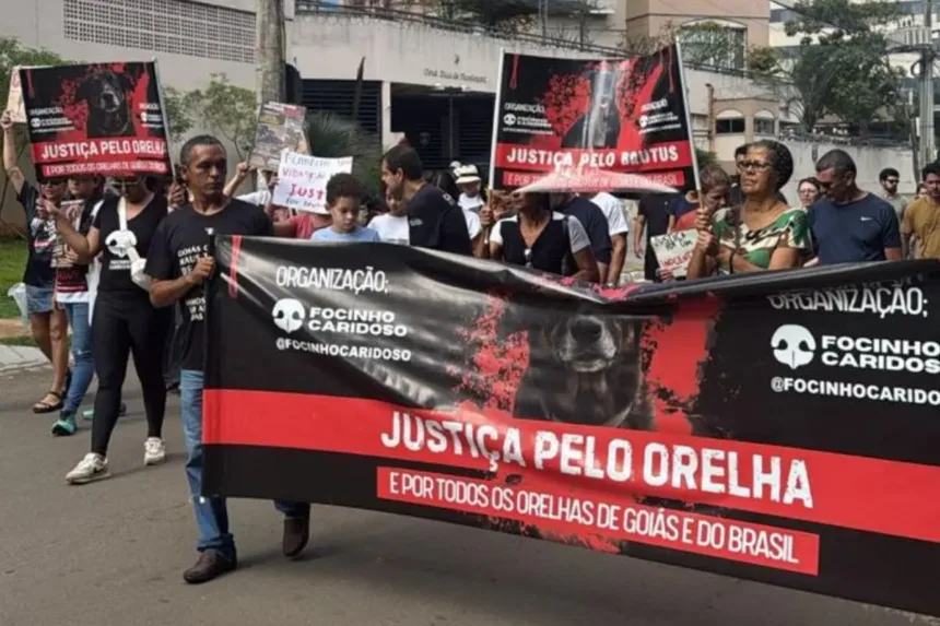 justica-pelo-brutus:-ato-pede-punicao-a-bombeiro-que-matou-cao-em-goiania