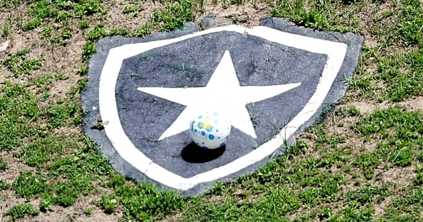 cnrd,-que-impos-transfer-ban-interno-ao-botafogo,-explica-possiveis-punicoes;-nao-ha-previsao-de-perda-de-pontos-–-fogaonet