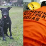 justica-por-brutus:-protesto-vai-ate-sede-dos-bombeiros-nesta-segunda-(13)