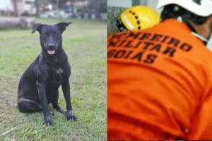 justica-por-brutus:-protesto-vai-ate-sede-dos-bombeiros-nesta-segunda-(13)