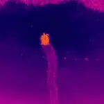 pesquisadores-da-ufpb-registram-desova-de-tartaruga-com-drones-e-ia