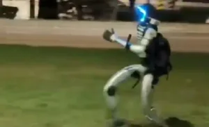 javalis-sao-perseguidos-por-robo-humanoide-na-polonia;-veja-video