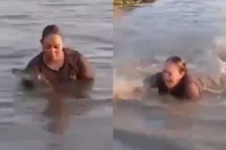 mulher-confunde-jacare-com-tronco-video-viraliza;-assista