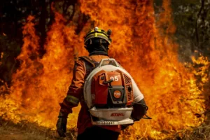 brigadistas-serao-remunerados-para-combater-incendios-na-regiao-nordeste-de-goias;-veja-valor