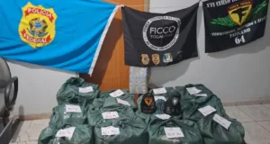motorista-e-preso-ao-transportar-460-kg-de-cocaina-escondidos-em-caminhao-carregado-de-abacaxi-–-g1