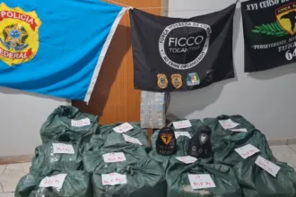 motorista-e-preso-ao-transportar-460-kg-de-cocaina-escondidos-em-caminhao-carregado-de-abacaxi-–-g1