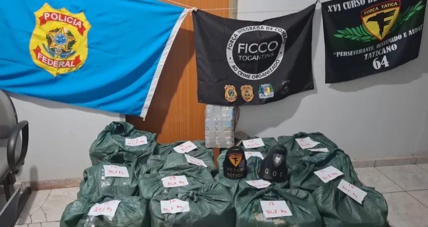 motorista-e-preso-ao-transportar-460-kg-de-cocaina-escondidos-em-caminhao-carregado-de-abacaxi-–-g1