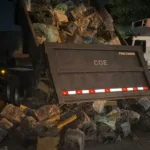 cv-tem-rombo-de-r$-50-milhoes-apos-“maior-apreensao-de-drogas-do-pais”